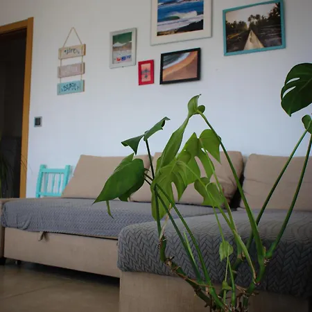 Like A Local Maison d'hôtes Ericeira